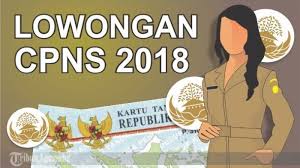Pengumuman Resmi Pemerintah Kabupaten Padang Lawas Utara Terkait Penerimaan Cpns 2018